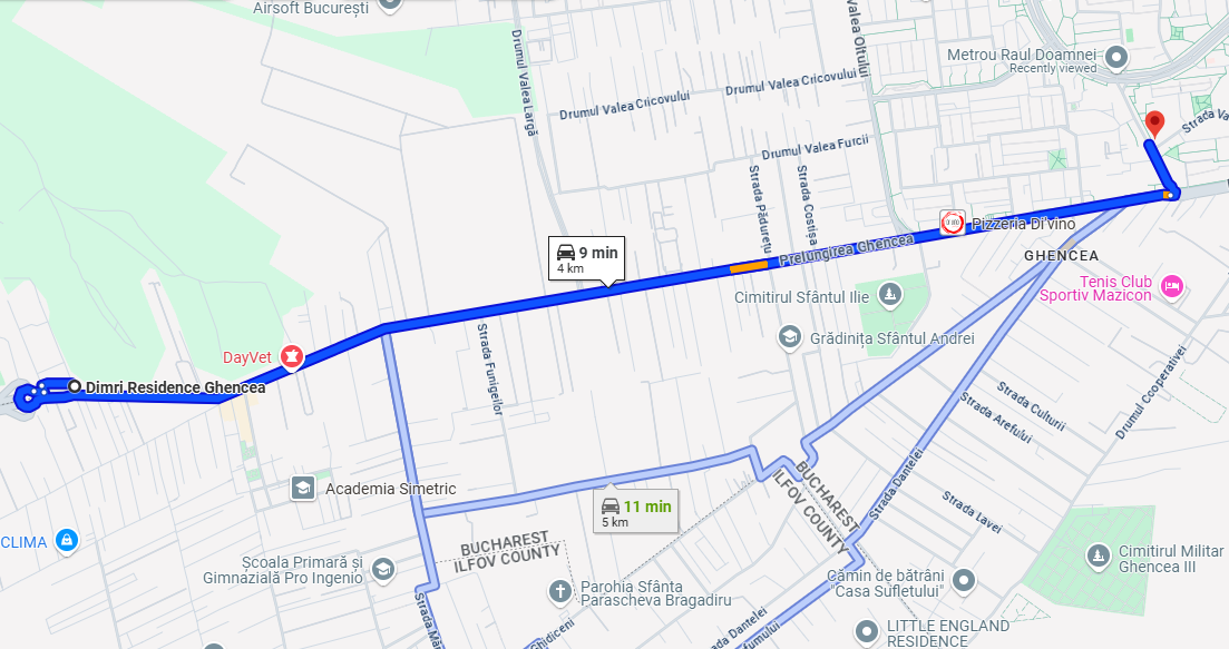 Distanță rutieră Dimri - Metrou Râul Doamnei 